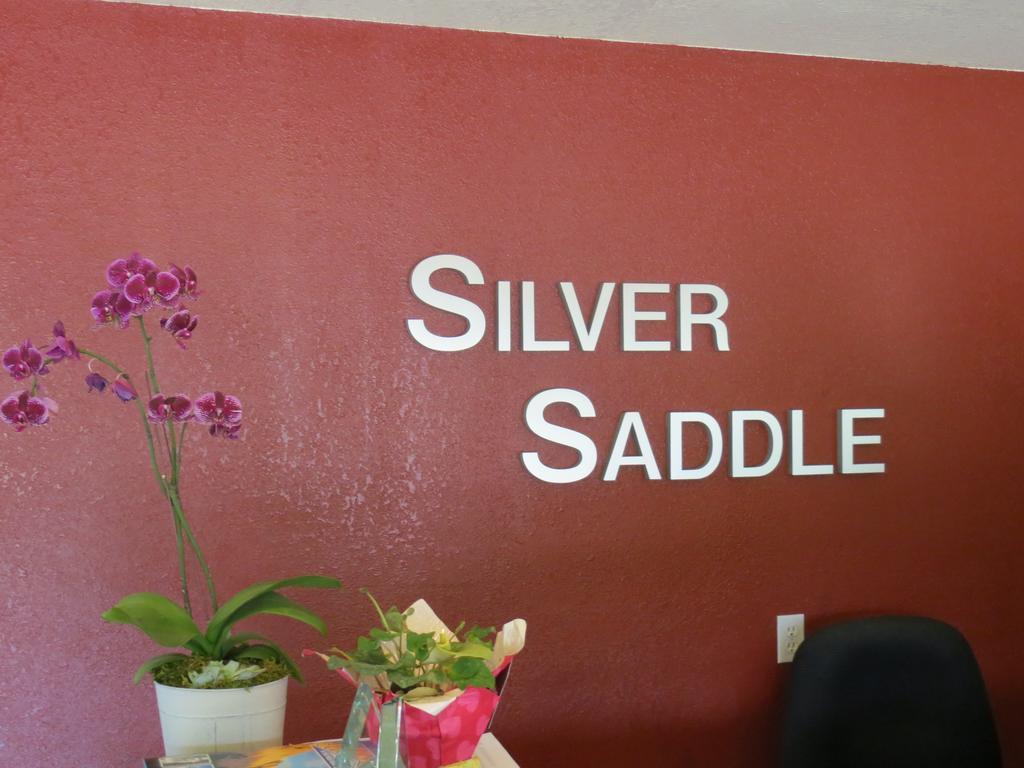 Silver Saddle Motel 마니투 스프링스 외부 사진